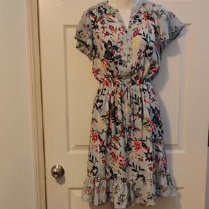 Massini Floral Print Mini Dress - Blue and Pink